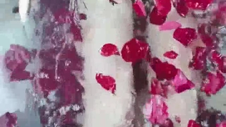 水瓶座本座_一月二十七号