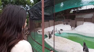 超美极品靓女奶子大人漂亮逼还粉 一次需要两根棒棒才能满足