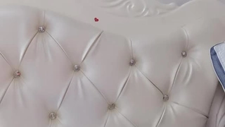 飞鸟和蝉
