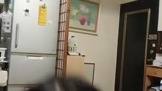 复旦大学录取分数线陕西一位姐姐销魂的乱叫