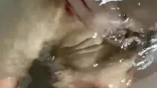 麻豆五虎8内测超顶级反差少女！酒吧厕所放飞自我！【完整版18分钟已上传下面简阶】